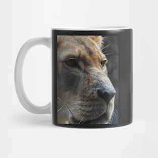 Lioness Mug